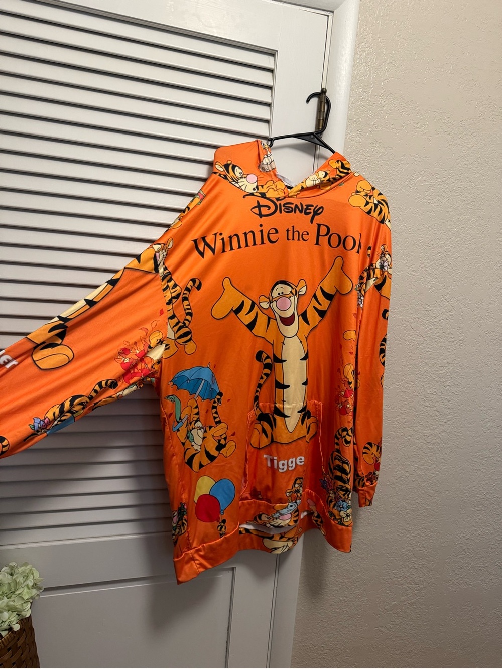 Disney Winnie the Pooh-Tigger Hoodie